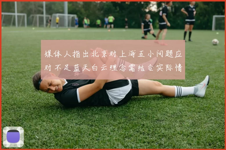 媒体人指出北京对上海五小问题应对不足蓝天白云理念需结合实际情况