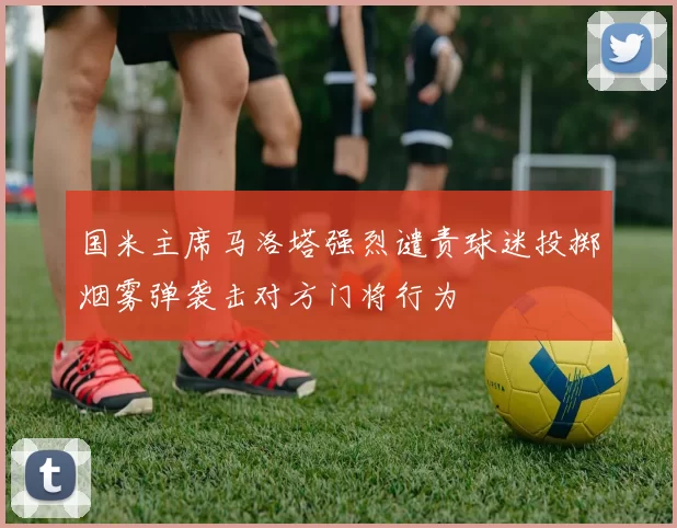 国米主席马洛塔强烈谴责球迷投掷烟雾弹袭击对方门将行为